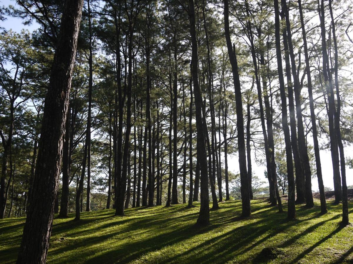 Azalea Residences Baguio Baguio City Kültér fotó